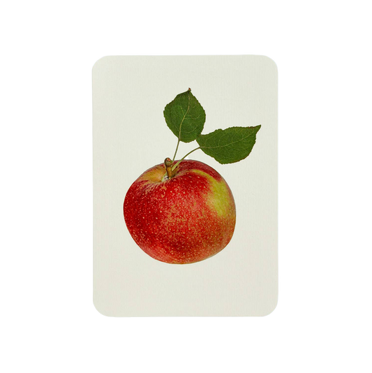 Tydeman's Late Orange Apple Greeting Card | Birthday Card