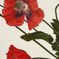 Wild Poppies Greeting Card | Birthday Card | Luxury Cards