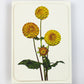 Dahlia Greeting Card | Birthday Card | Luxury Cards
