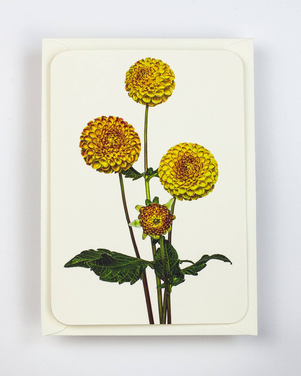 Dahlia Greeting Card | Birthday Card | Luxury Cards