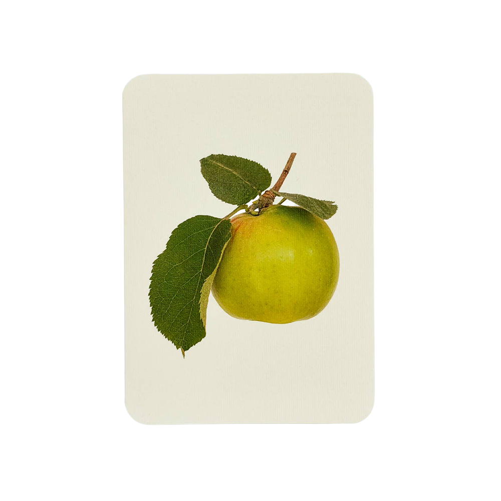 Bramley Apple Greeting Card | Birthday Card