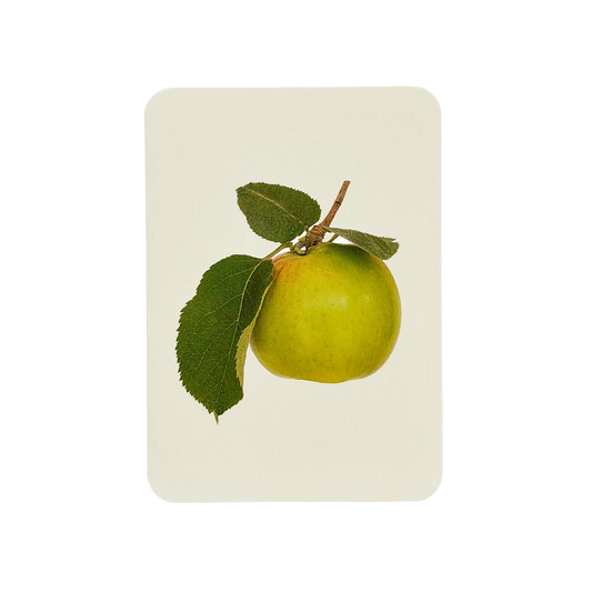 Bramley Apple Greeting Card | Birthday Card