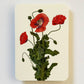 Wild Poppies Greeting Card | Birthday Card | Luxury Cards