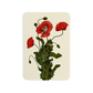 Wild Poppies Greeting Card | Birthday Card | Luxury Cards