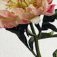 Peony Greeting Card | Birthday Card | Luxury Cards