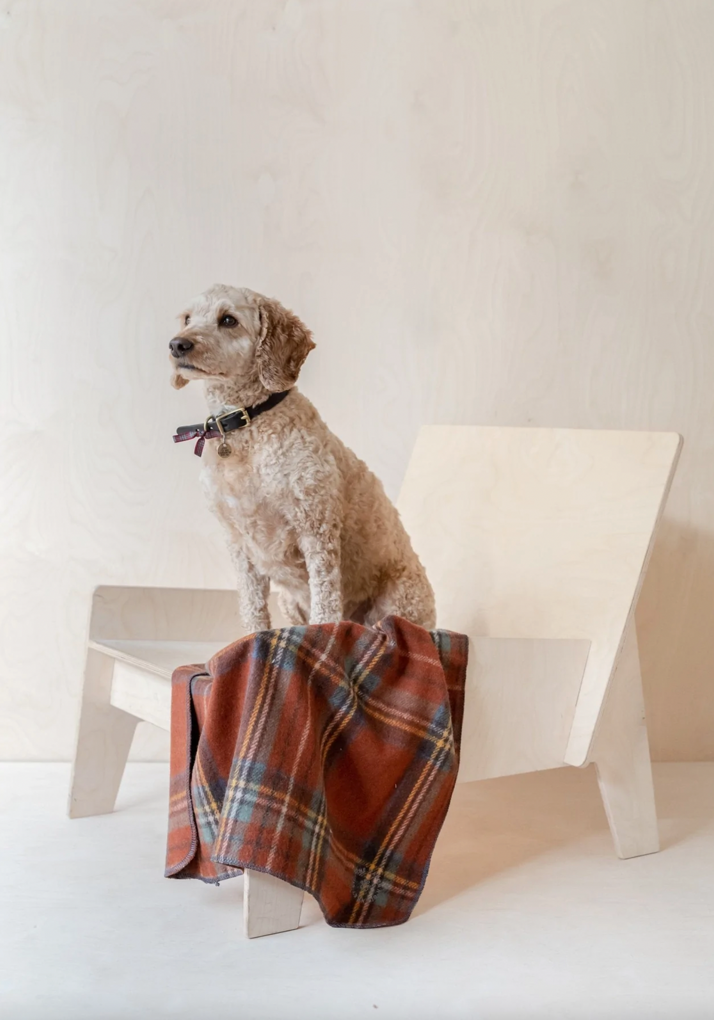 Recycled Wool Small Pet Blanket in Stewart Royal Antique Tartan
